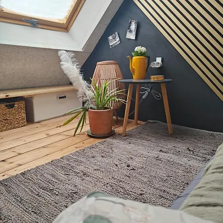 Cozy Newly Renovated Tiny House Near